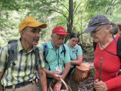 Nem tudom, miről beszéltünk, de olyan jó kép