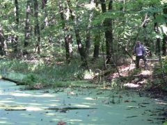 A Leányvár árkában még mindig víz van