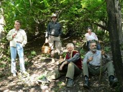 Túristabot születik