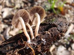 A túra egyik legszebb fotója