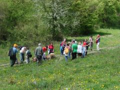 Így látta Faller Pista...