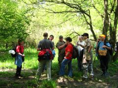 Hűsölés, áprilisi árnyékban
