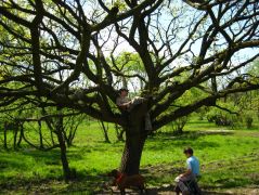 Pihenő Sajóbábonynál