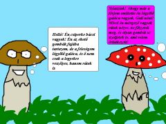 Számítógépes rajz  II. díjat kapott: