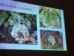 Az alapoktól kezdve