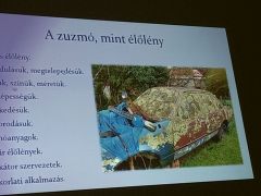 Kalandozás egy számunkra új világban