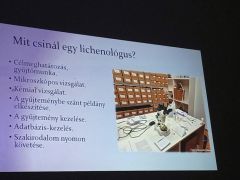 Dalma saját múzeumi tevékenységét is bemutatta