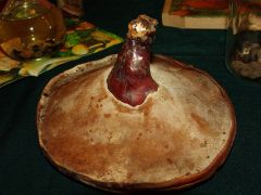 Ritka az ilyen alakú pecsétviasz gomba