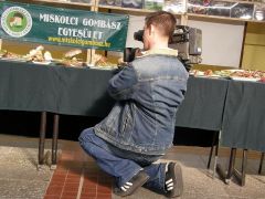 Logónk a kamera előtt