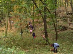 Gyerekek, szülők, együtt az erdőben