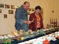 Ebből kellene jó sok!