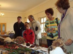 Szép összeállítás, a száraz időhöz képest