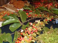 Mit tesz a gondos díszítés...