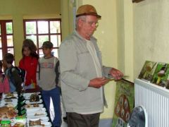 Ilyen gyorsan ritkán készül el egy bemutató