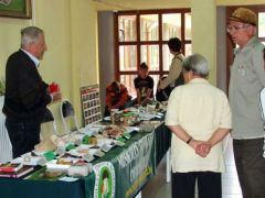 Jöhetnek az első versenyzők