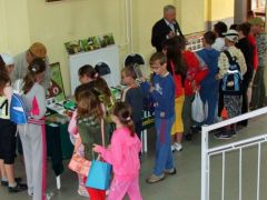 Az alsós csapatokkal kezdtünk