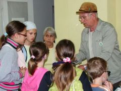 Bükkfataplótól a taplósipkáig...