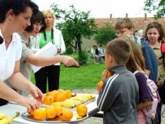 A díjak - elgondolkodtató!