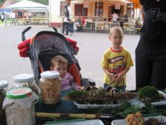 Egy (kvázi) újszülöttnek minden gomba új