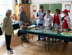 Pannika segíteni akar