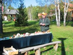 Rozibá` a fajlistát ellenőrzi