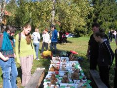 Ízelítő a gyakoribb fajokból