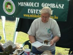 Gizus nekilát a kipakolásnak