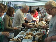 Teljes erőbedobással!