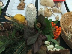 Azért nem csak taplóink voltak!