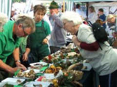 Évike segít megírni az elveszett cédulákat