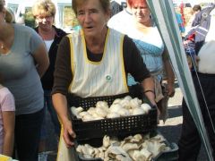 Erzsike a főzőcsapattól ugrott át egy percre