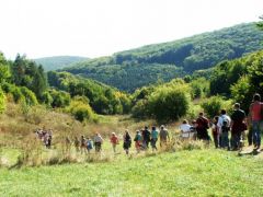 Friss levegőn, szép tájakon - csábító