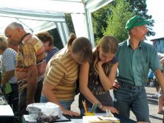 Lássuk csak, mit tudnánk belőle?