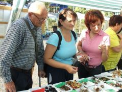 Hajdani tagtársunk is figyel még ránk...