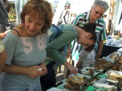 Egyetlen szem száraz védett gombánk