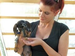 A legszimpatikusabb szarvasgomba kereső...