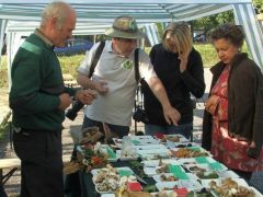 János és a lengyel csapat