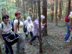 Gomba lenne annyi, mint lendület!