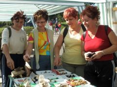 Tanfolyamosok Kazincbarcikáról