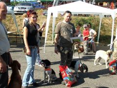 A szarvasgomba keresés eredményhirdetése