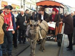 A Baráthegyi gazdaság csacsifogata