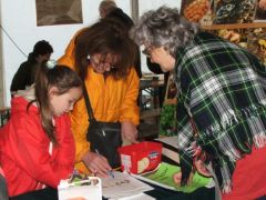 Tudásfelmérő teszt kicsiknek, nagyoknak