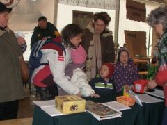 Mit szeretnétek? Lehet választani!