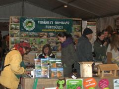 Szombat van - a fotófal mögött vagyunk