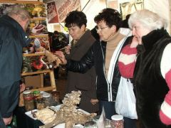 A pecsétviszgomba évek óta slágertéma