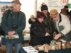 A készítmények is mindig sikeresek