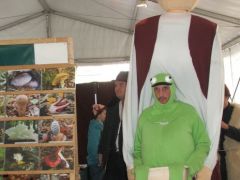 Búcsúzzunk a miskolci békával!