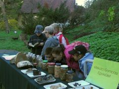 Rákészülés a verseny előtt