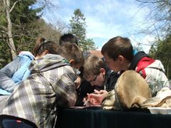 Nagyon komolyan vették!