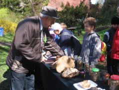 Sokat hallott a papájától, jó kérdései vannak